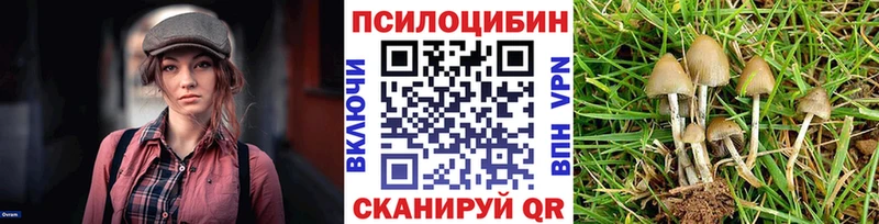 Псилоцибиновые грибы Psilocybe  Невель 